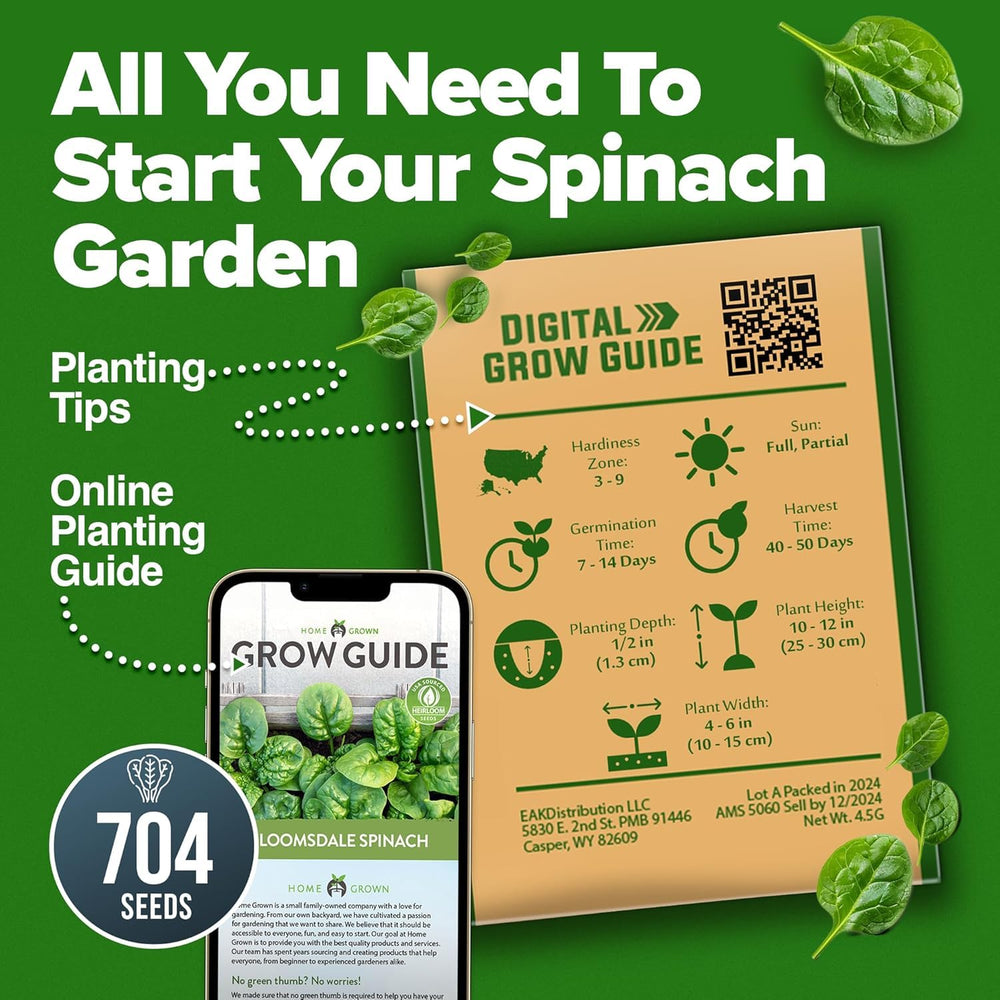 HOME GROWN Bloomsdale spinach used as salad ingredient in fresh dishes