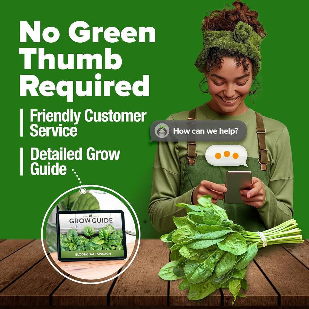 HOME GROWN Bloomsdale seeds instruction card with simple planting steps