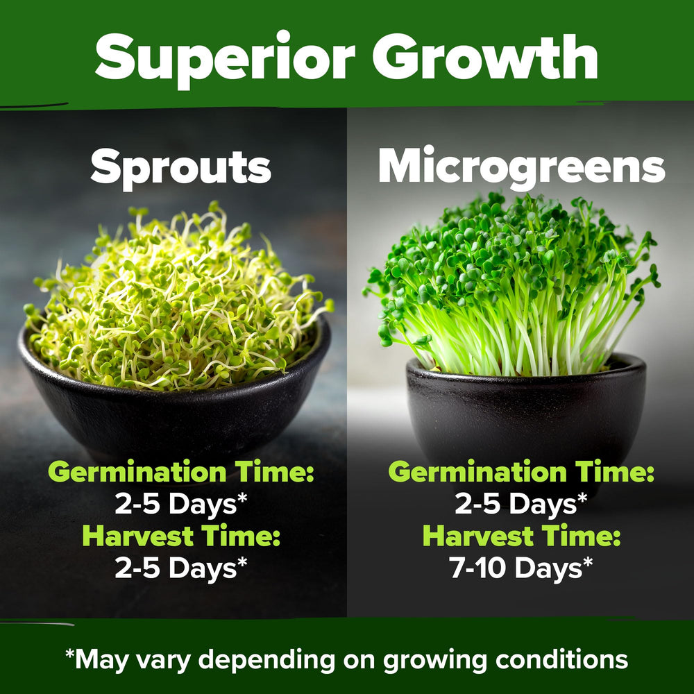 HOME GROWN broccoli microgreens tray – easy indoor greens with minimal setup
