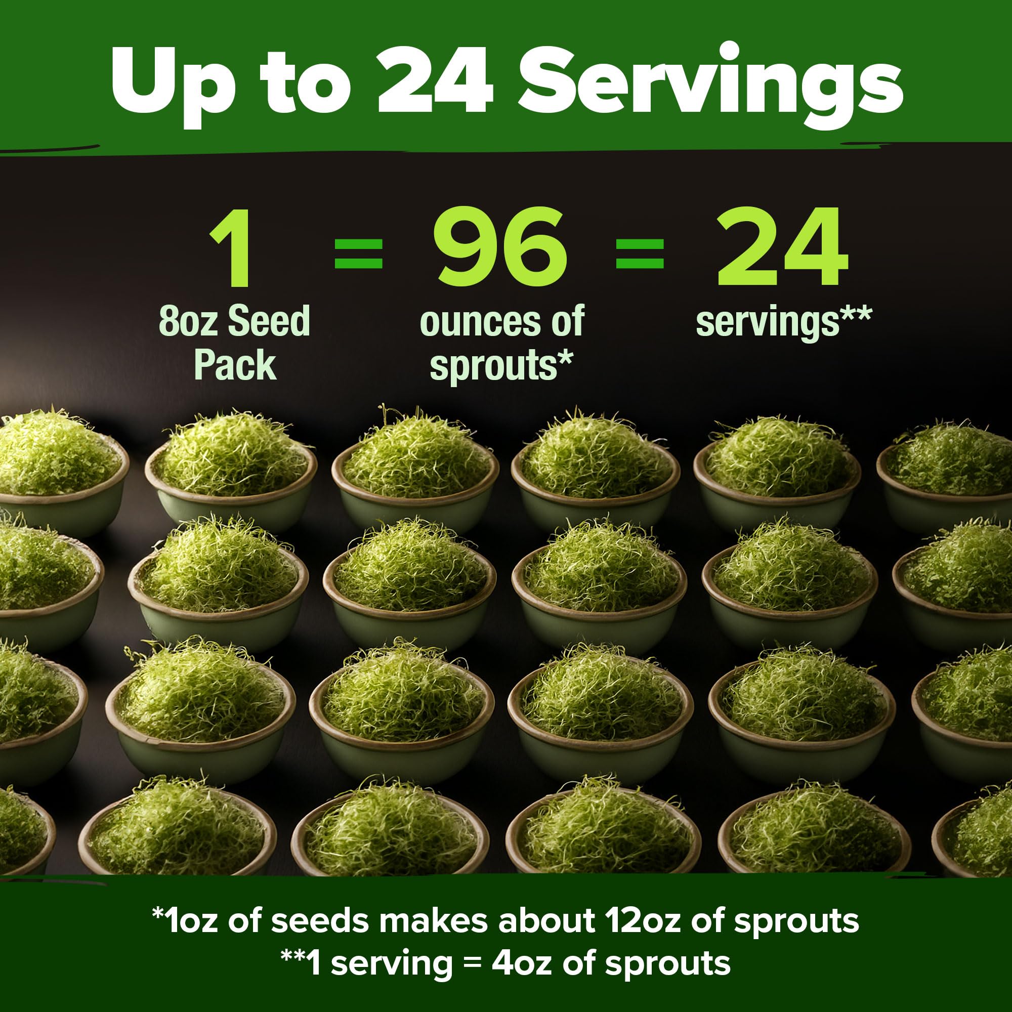 HOME GROWN broccoli sprouts five days – harvest nutrient-dense greens quickly