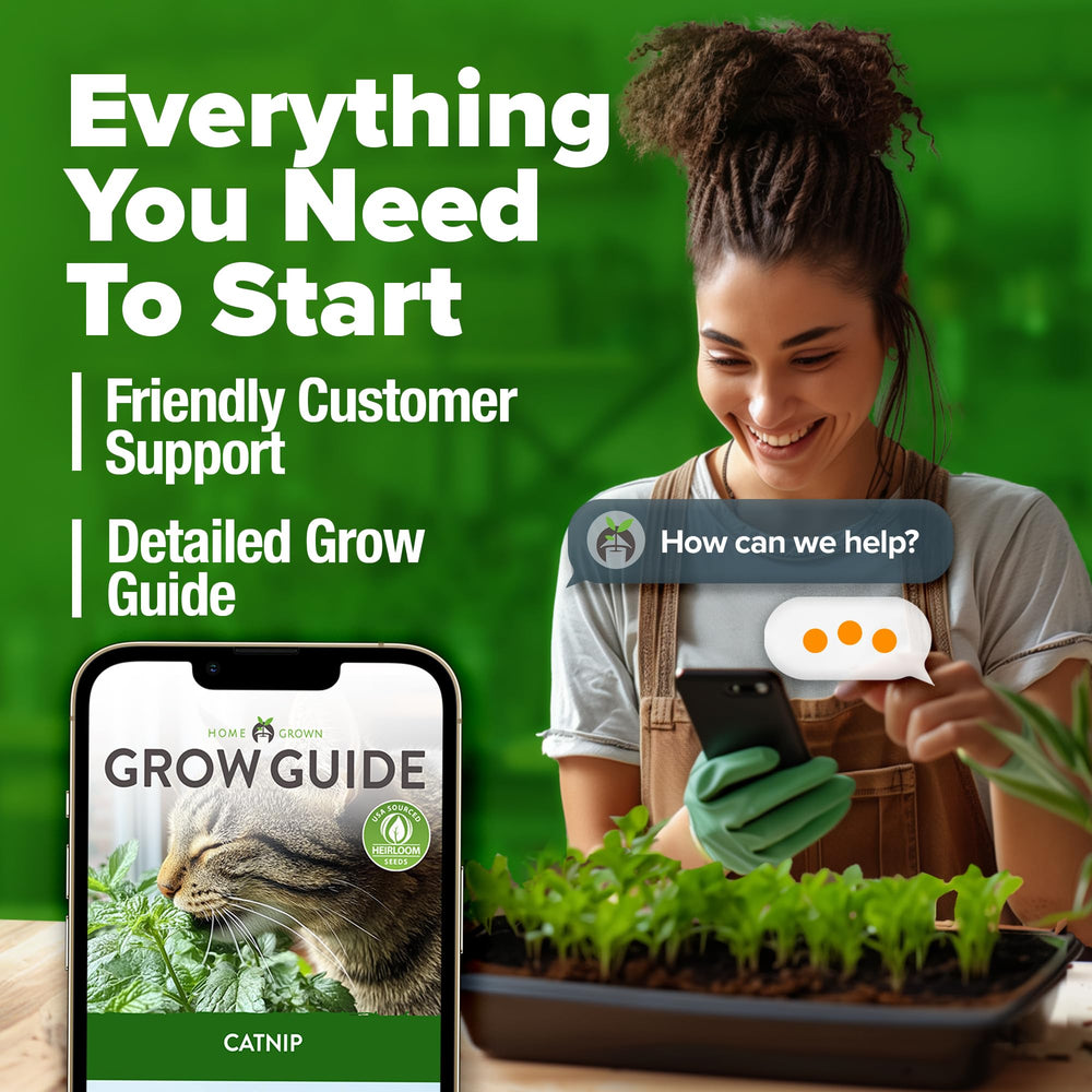 HOME GROWN bulk pack contains approx 2116 seeds for value.