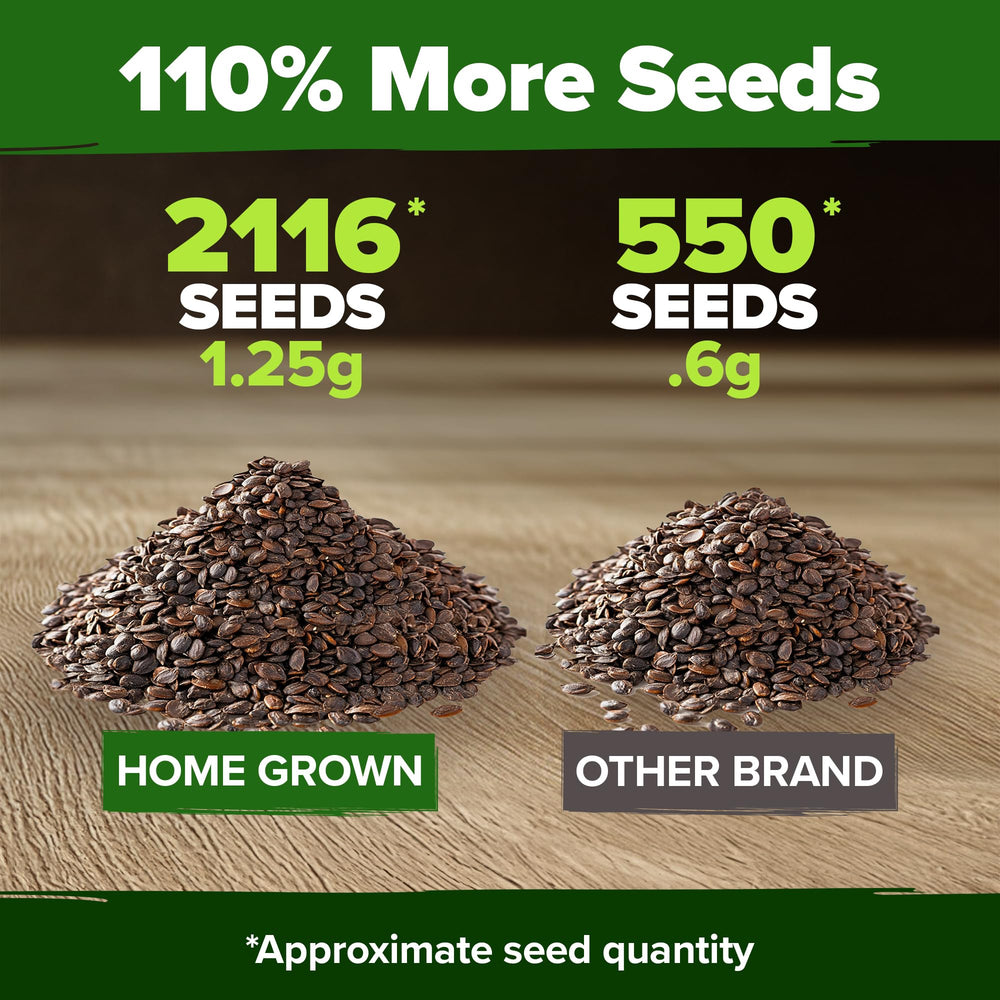 HOME GROWN catnip seeds boast high germination rates for lush, healthy plants.