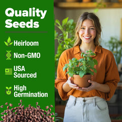 HOME GROWN catnip seeds for indoor and outdoor use, easy garden setup.