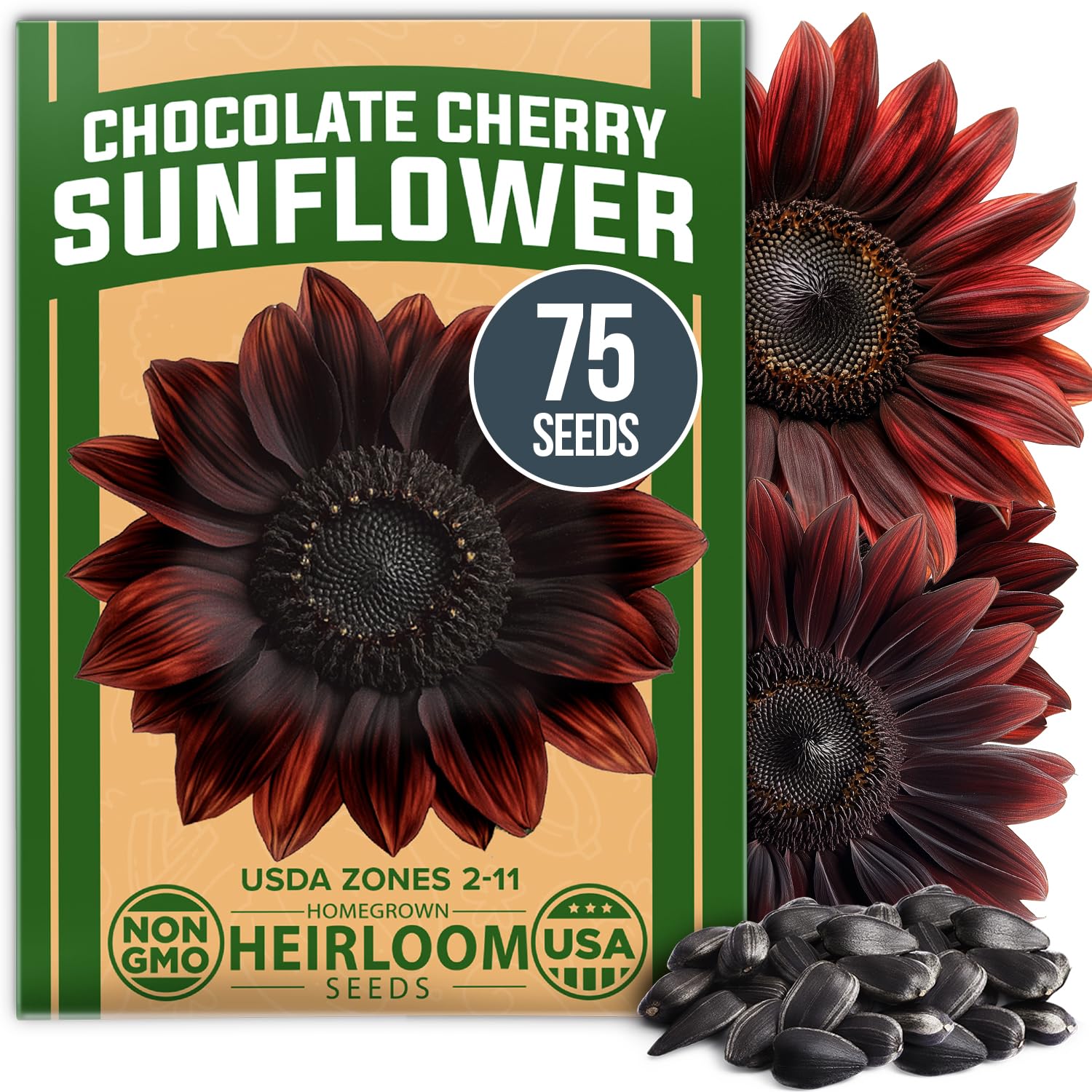 HOME GROWN Chocolate Cherry sunflowers with dark centers create a dramatic garden focal point