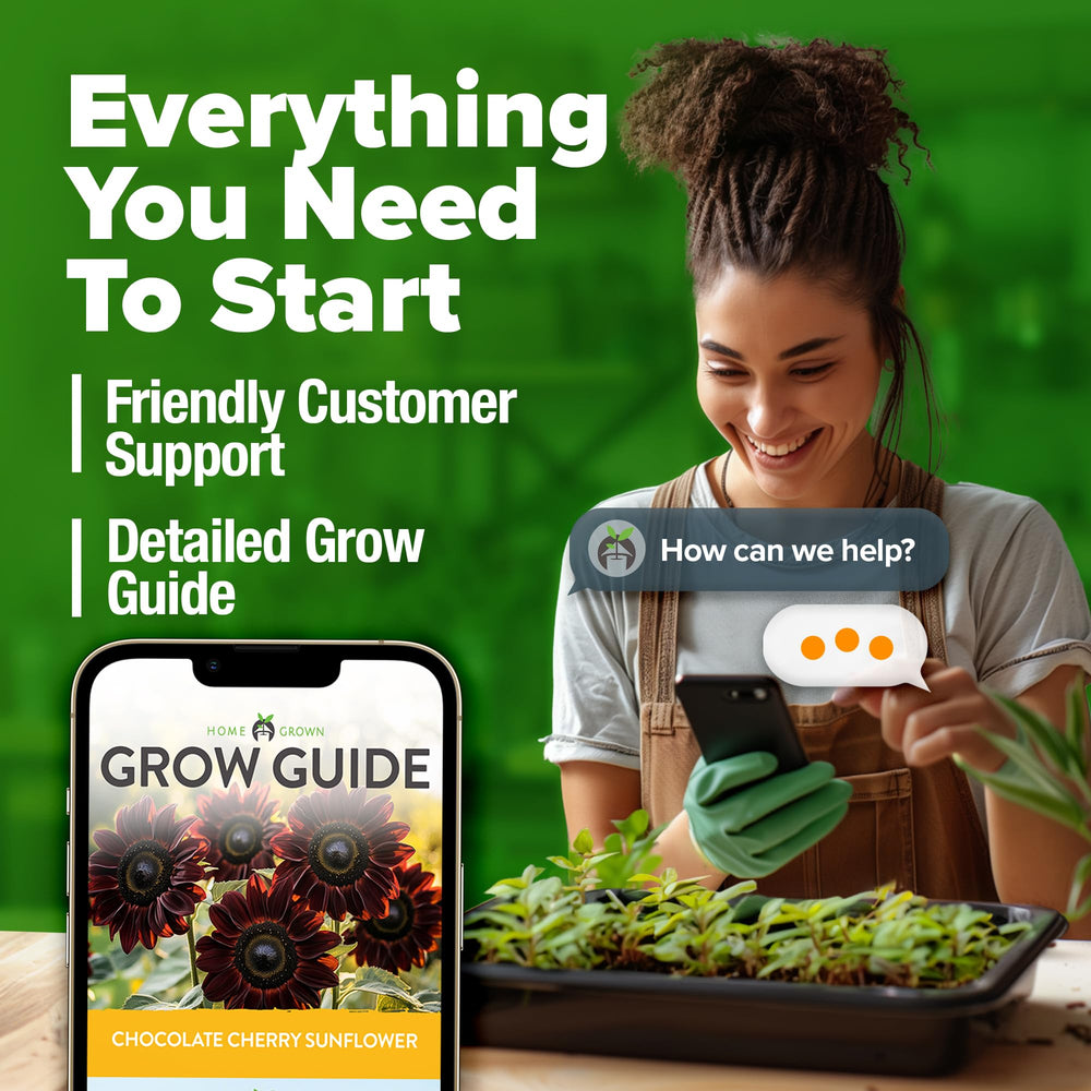 HOME GROWN seeds are edible and harvest-ready for home snacks