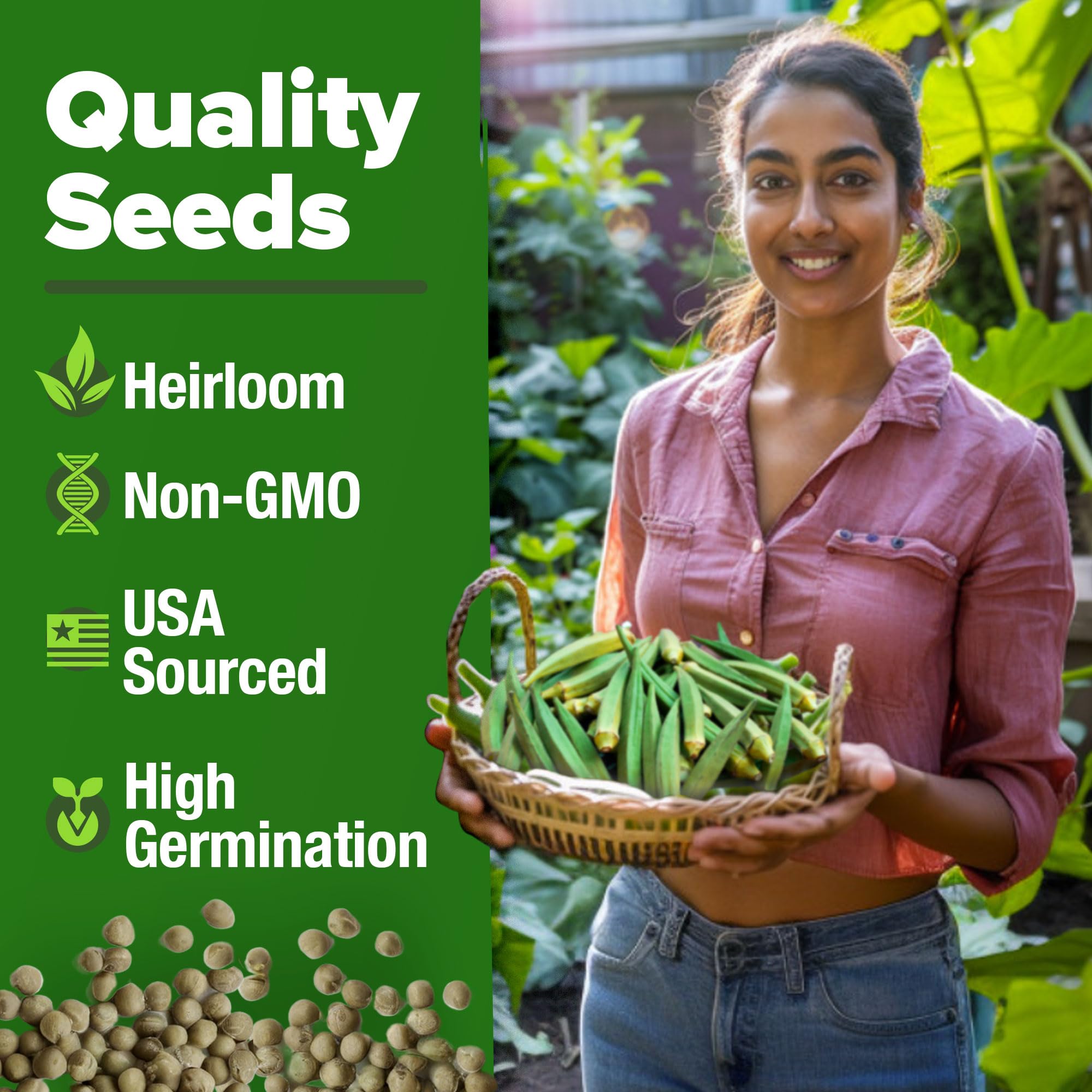 HOME GROWN okra pods appearing on plants ideal for fresh salads