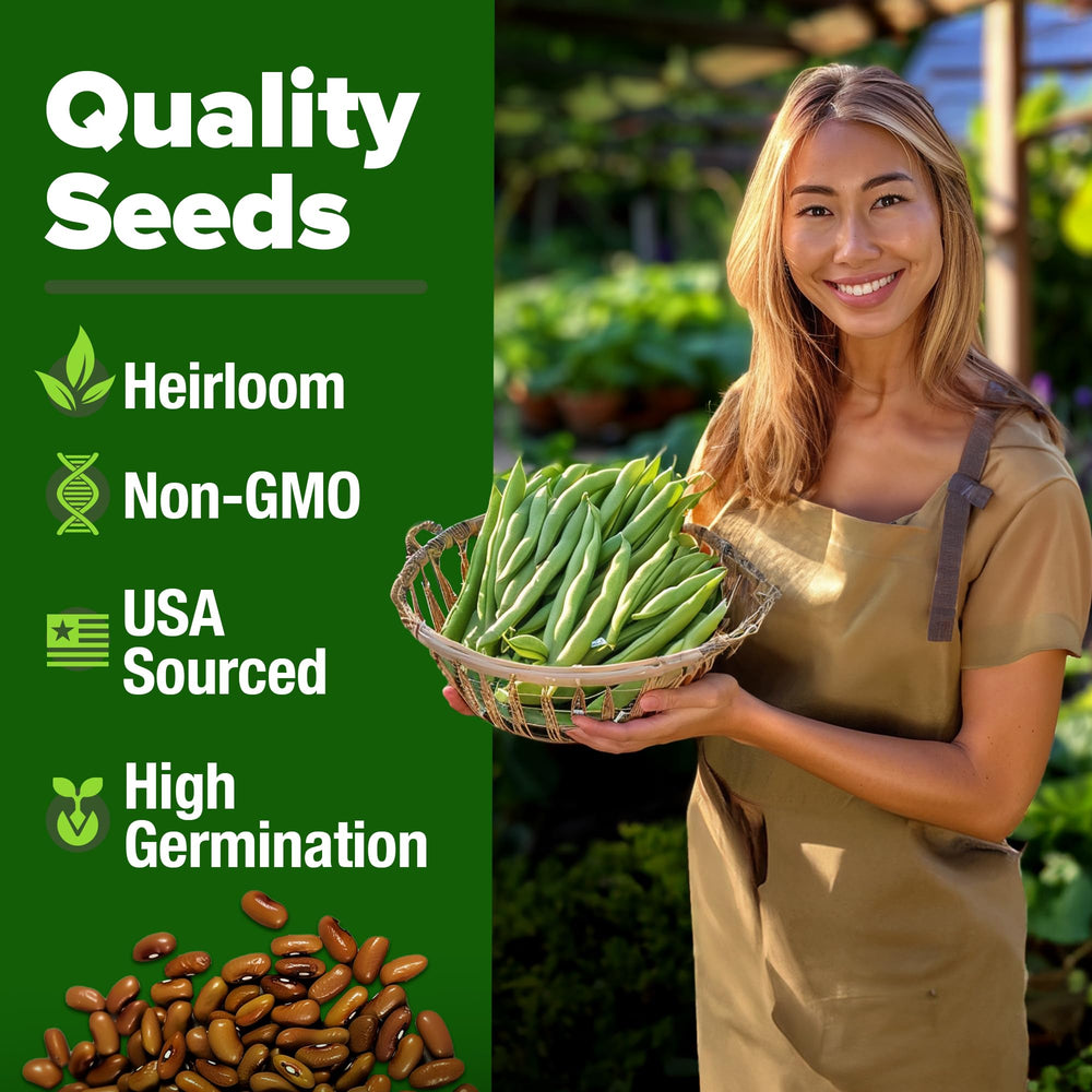 HOME GROWN Contender seed close-up, open-pollinated heirloom quality