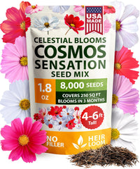 HOME GROWN Cosmos Sensation Mix seed pack viewed from above for a bold garden start