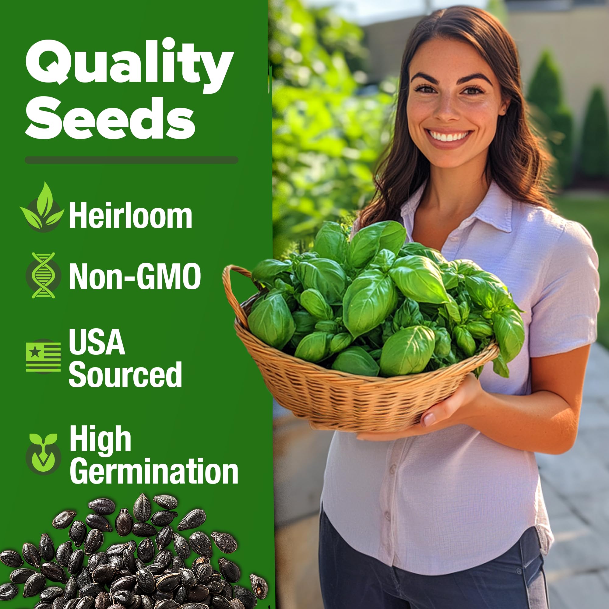 Home Grown Genovese basil seeds ideal for indoor grow-light setups and germination.