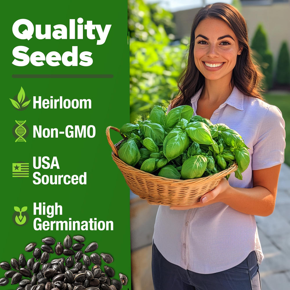 Home Grown Genovese basil seeds ideal for indoor grow-light setups and germination.