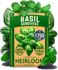 Home Grown Genovese basil seeds pack with 1,750+ seeds for a robust herb supply.