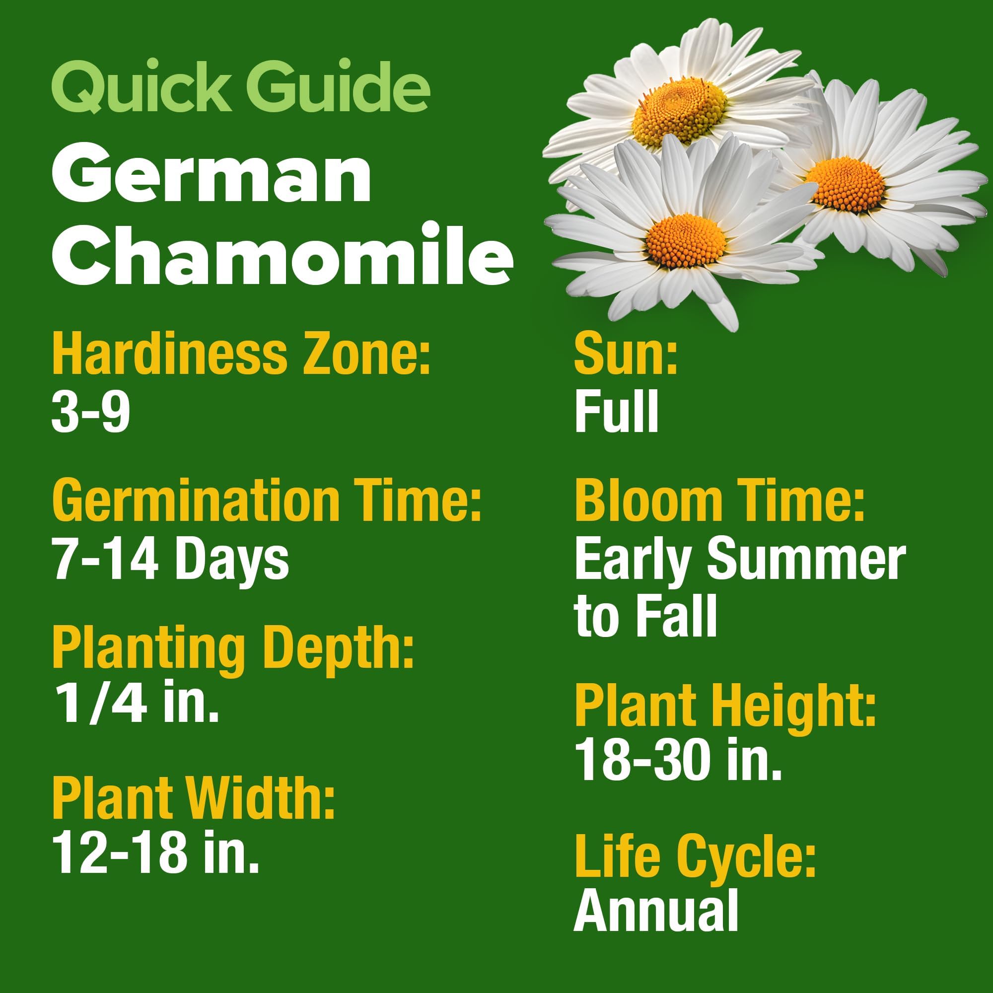 Home Grown German Chamomile seed pack, fast germination for quick blooms.