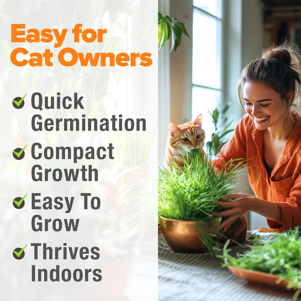 HOME GROWN grow container kit for an organized indoor garden.