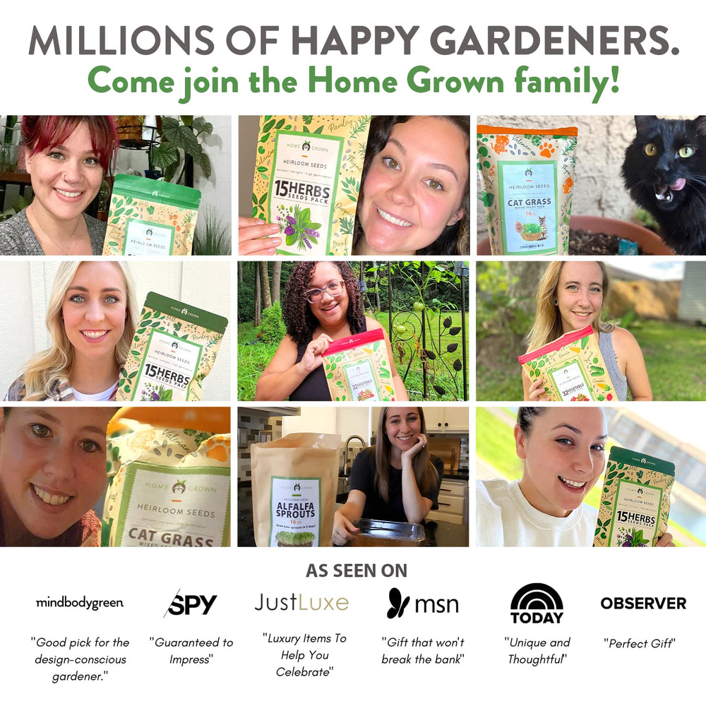 HOME GROWN growing instructions – clear steps for sprouting success