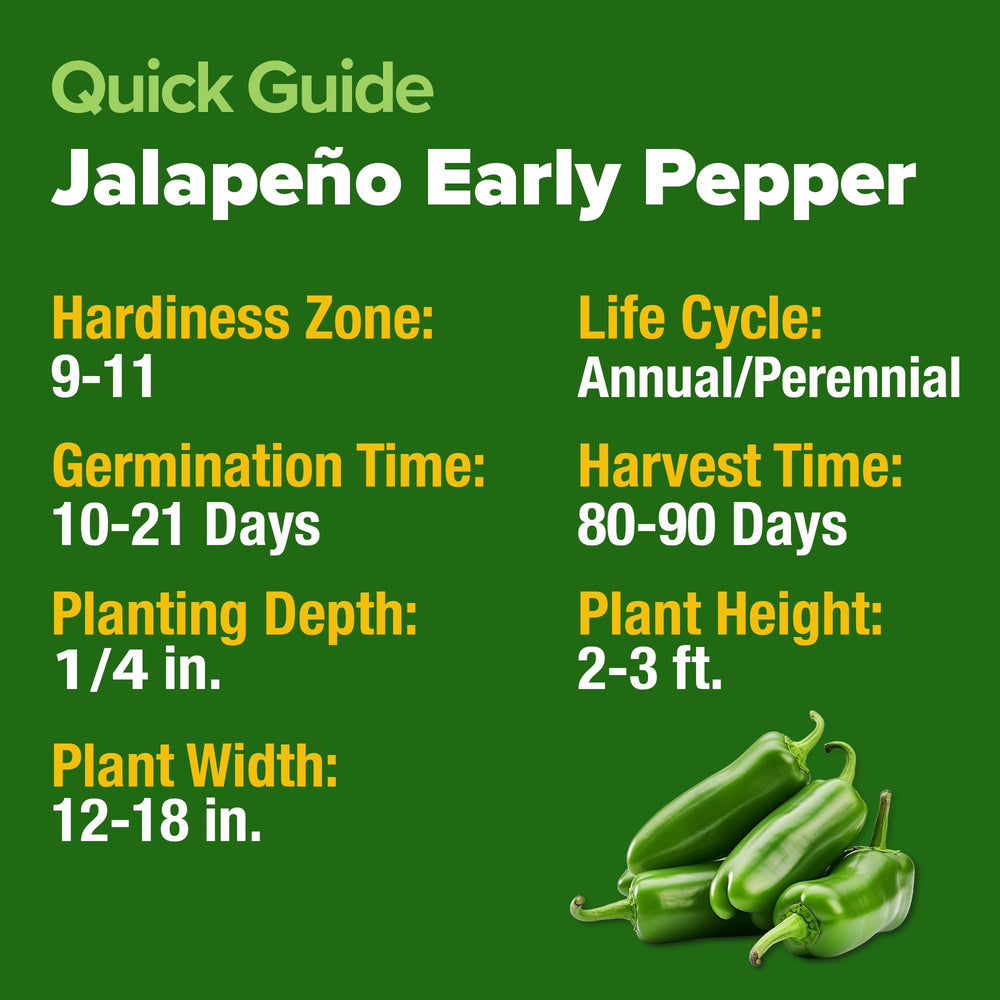 Indoor gardening setup with HOME GROWN jalapeno seeds thriving in containers.