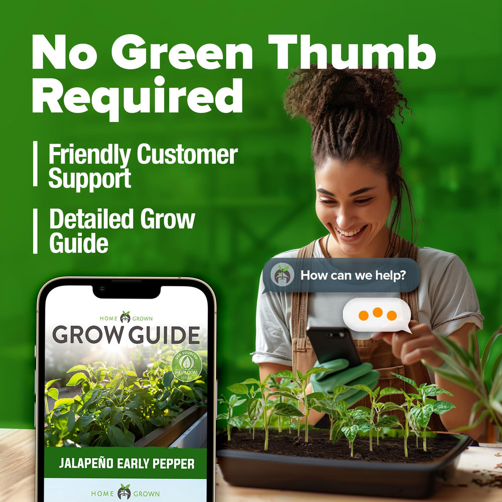 Non-GMO label on HOME GROWN jalapeno seeds highlighting quality.