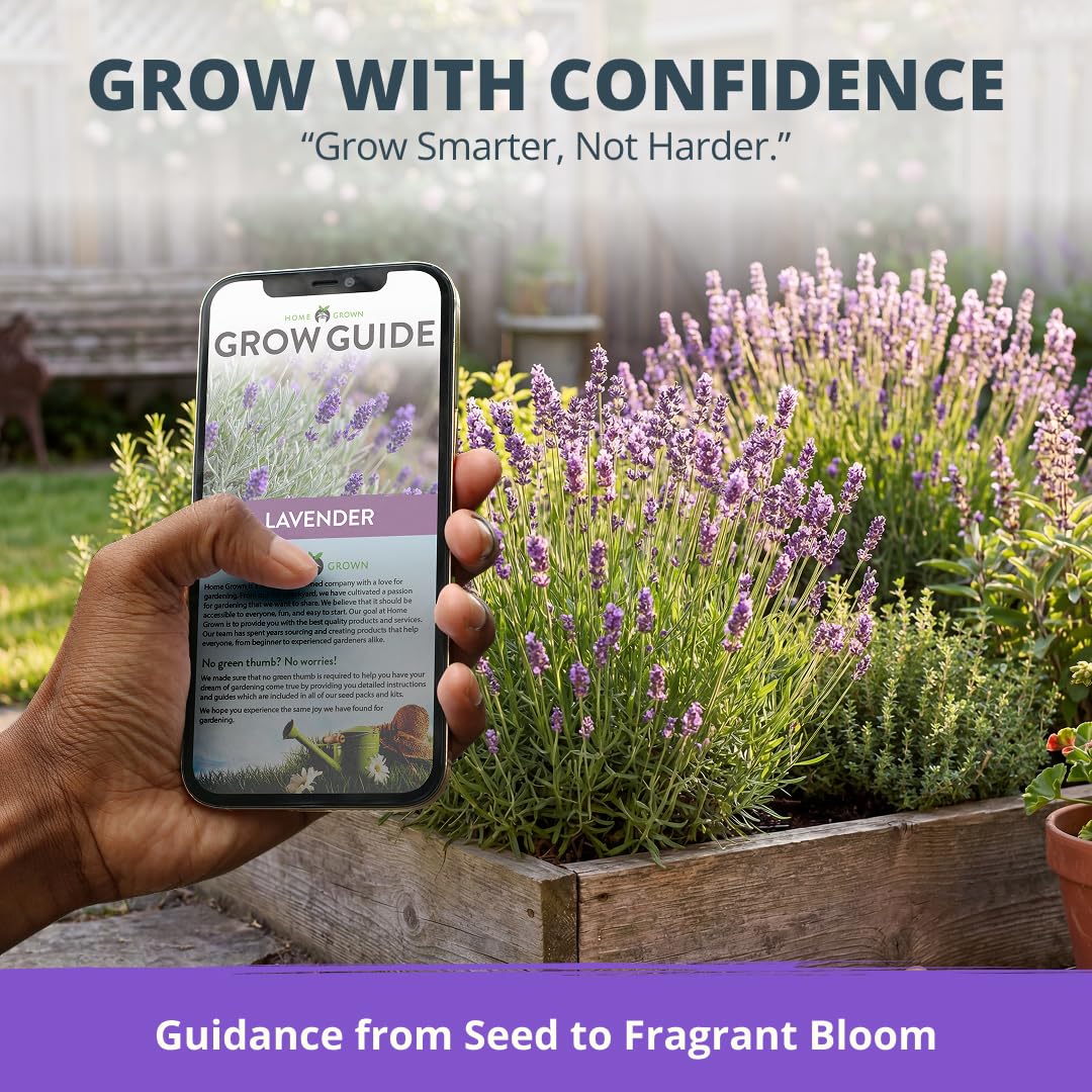 HOME GROWN lavender seeds care guide page with planting tips