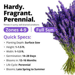 HOME GROWN lavender seeds germination chart demonstrates strong sprout potential for a thriving garden