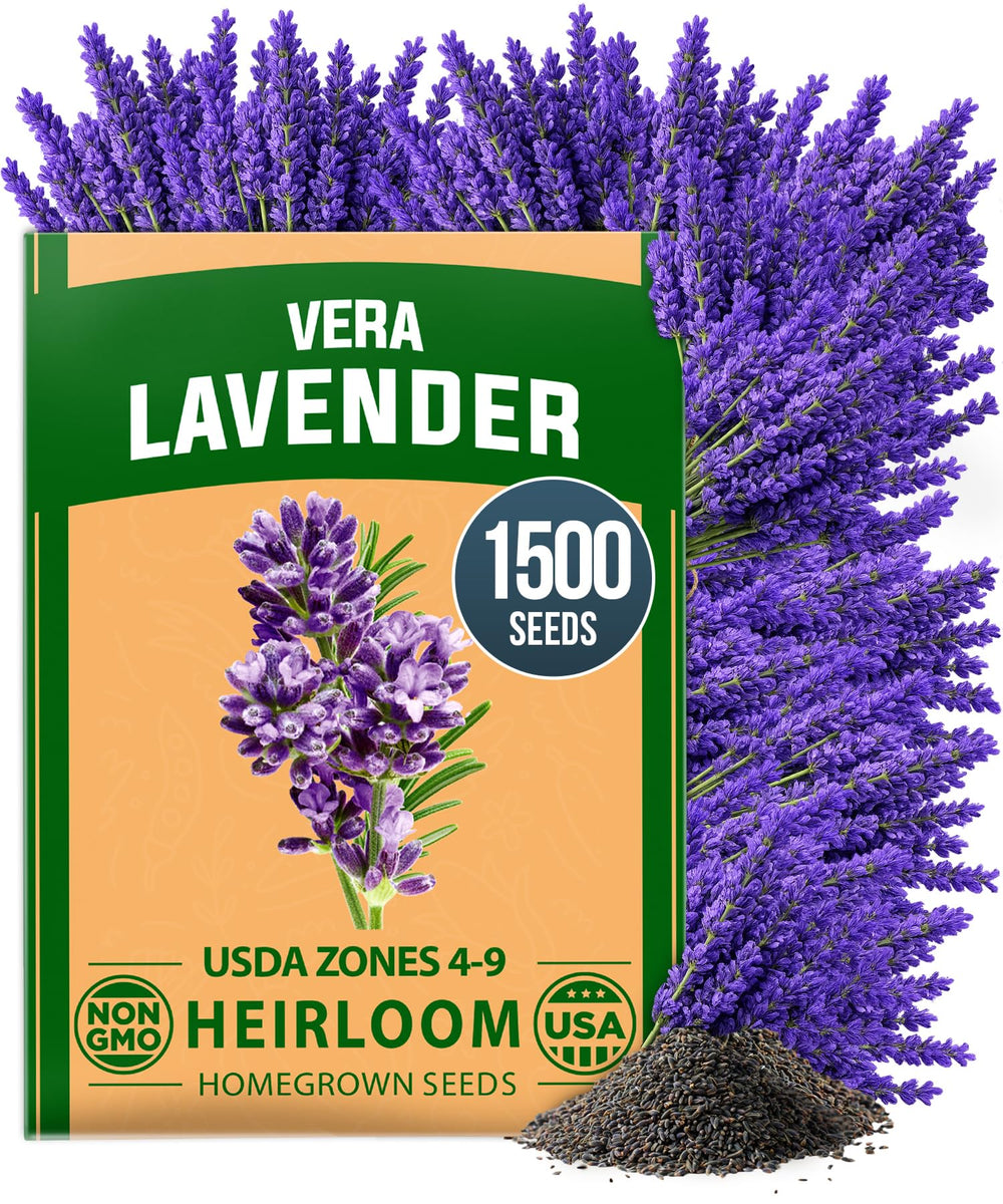 HOME GROWN lavender seeds packet shown for easy home planting and vibrant blooms