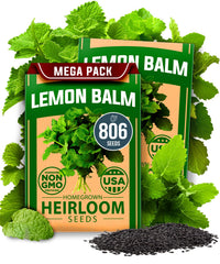 HOME GROWN Lemon Balm Seeds pack enables quick germination and a thriving herb garden.
