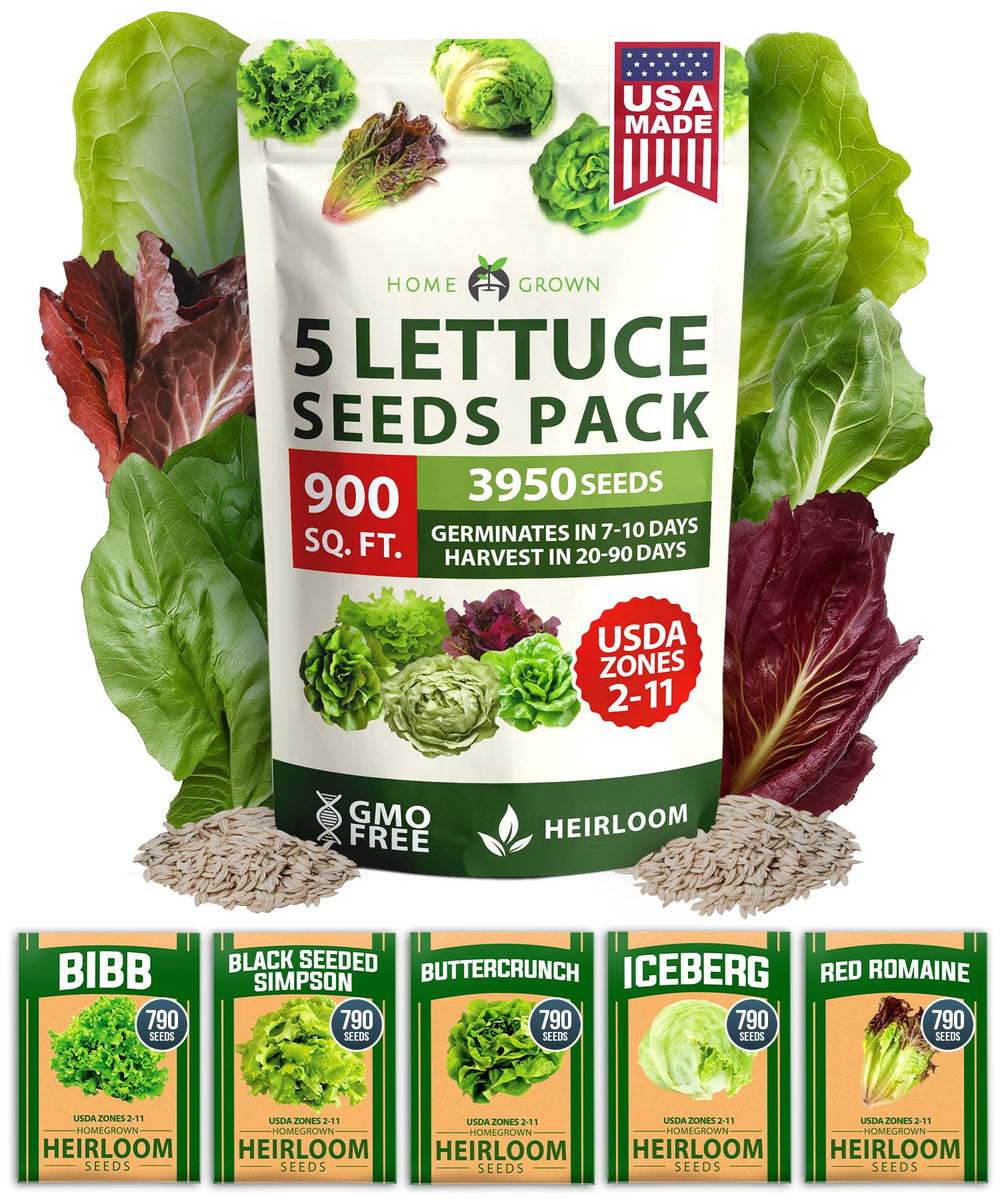 HOME GROWN Lettuce Seeds Five Variety Pack ready for year-round salads.