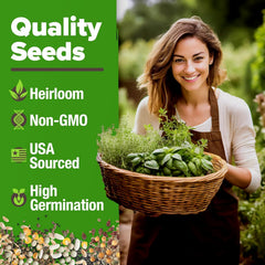 HOME GROWN Mint Seeds Six Varieties close-up highlighting diverse leaf flavors