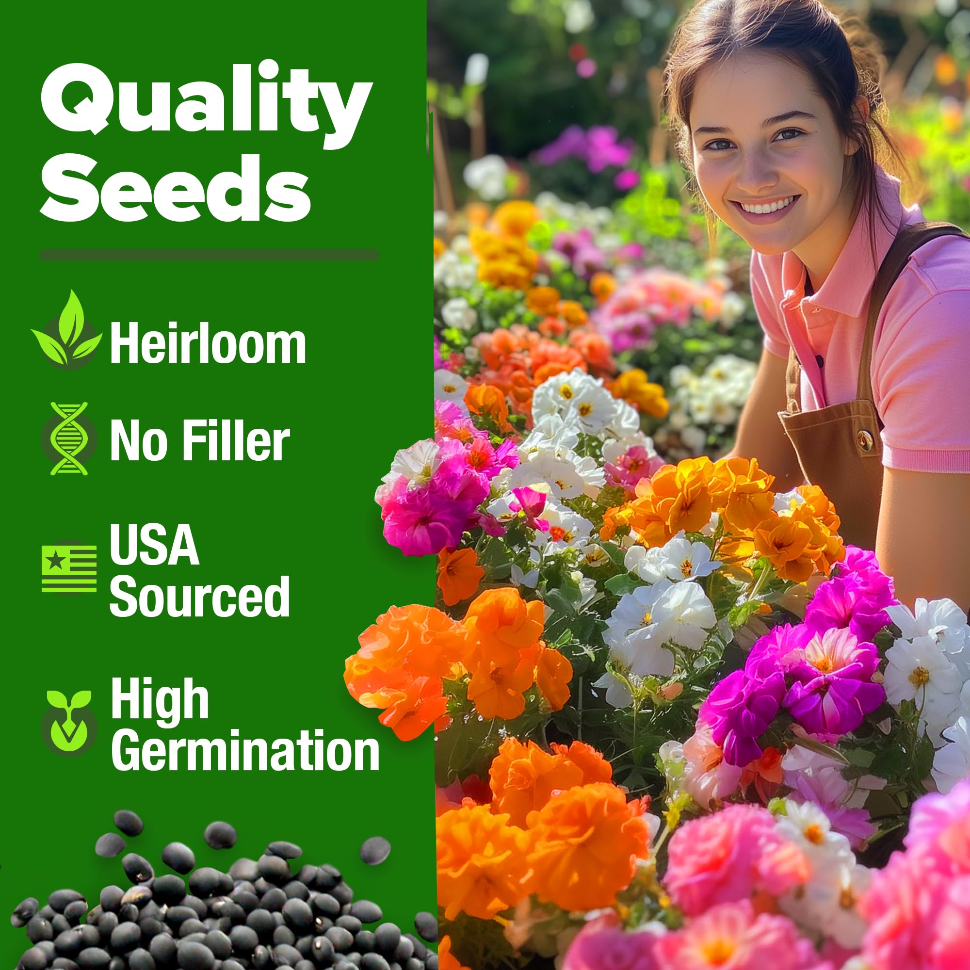 Home Grown Moss Rose beginner-friendly seeds germinate within 7-14 days