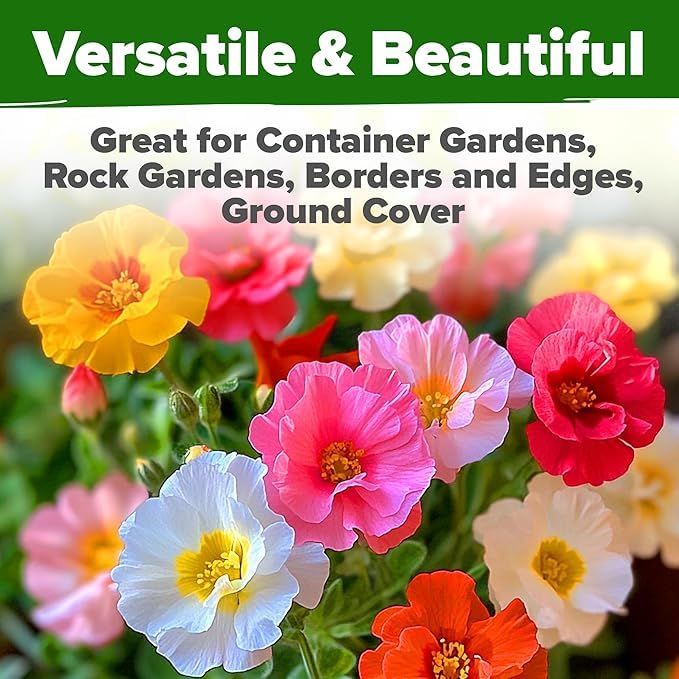HOME GROWN quick germination enables fast garden color