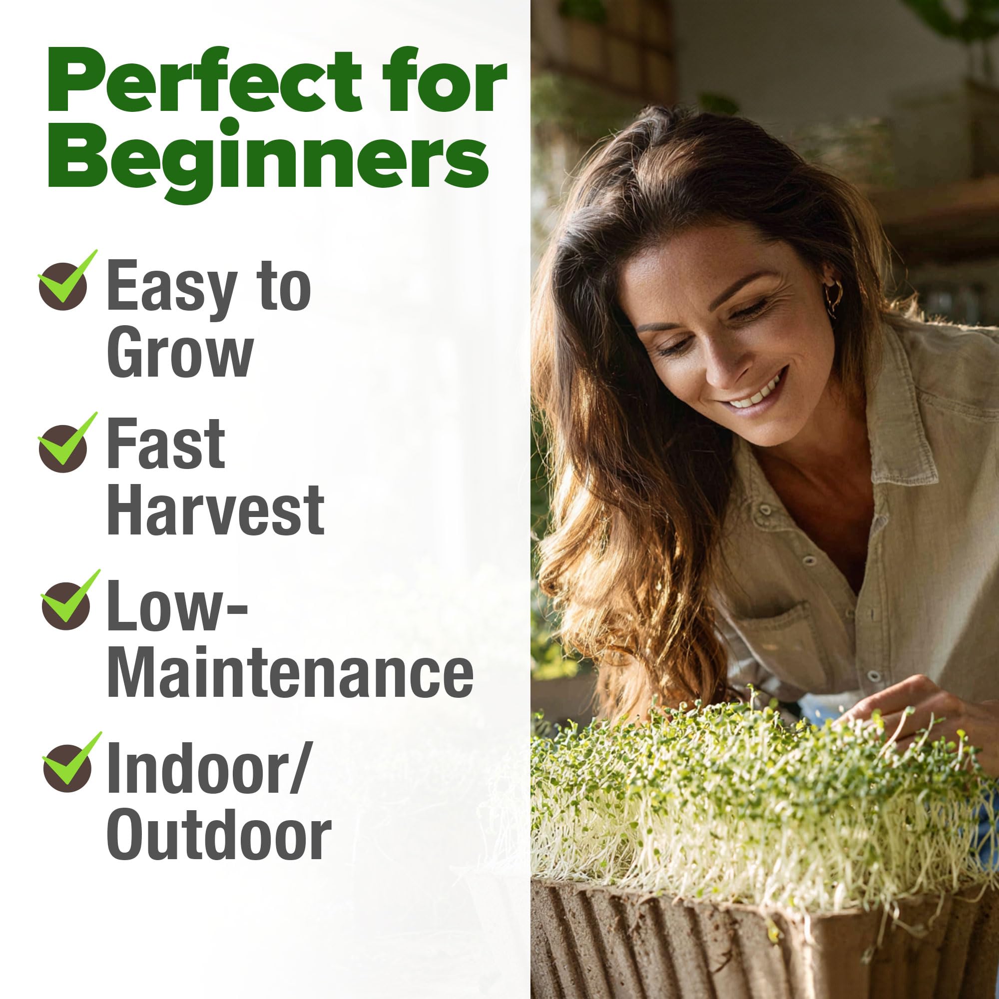 HOME GROWN non-GMO alfalfa seeds for clean sprouting nutrition.