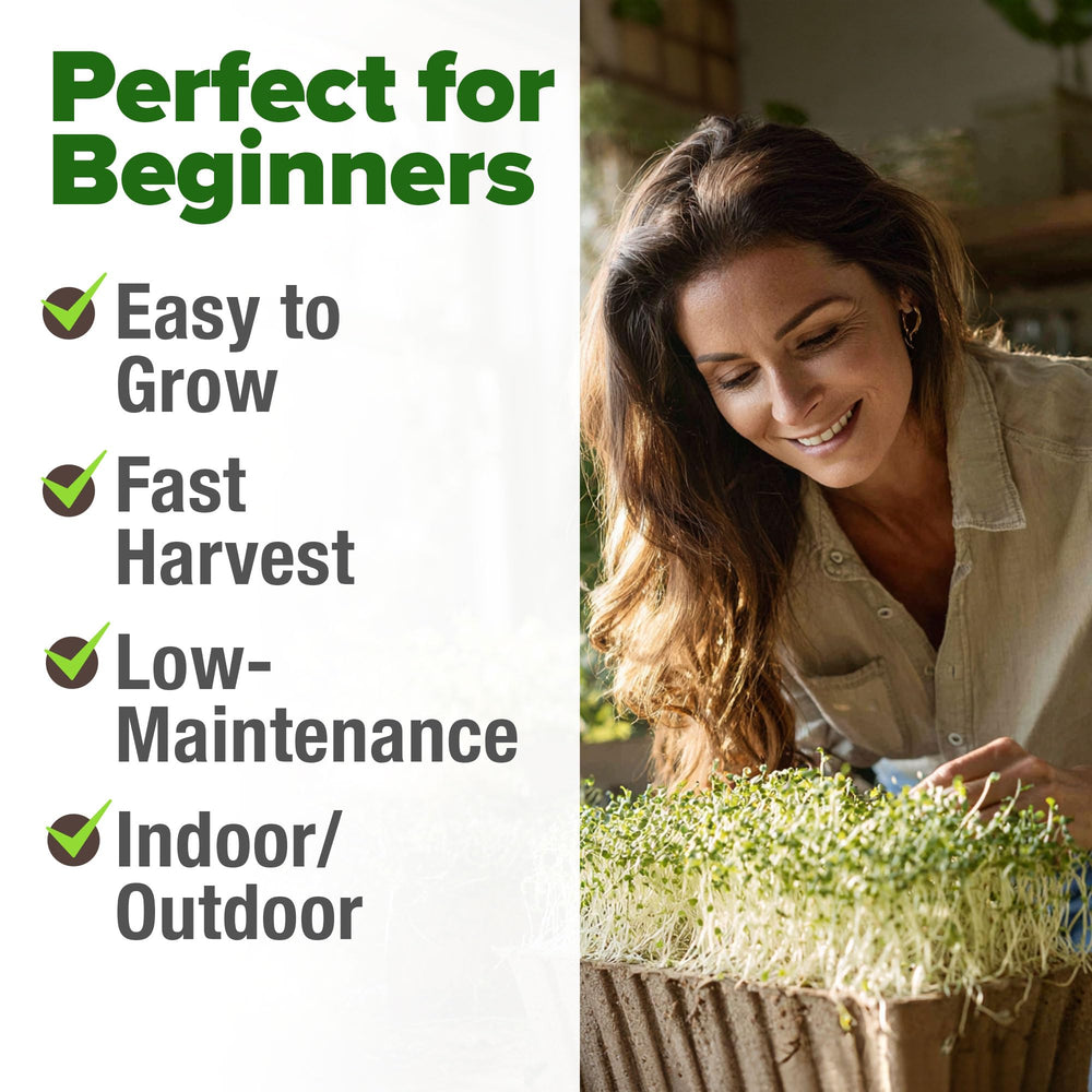 HOME GROWN non-GMO alfalfa seeds for clean sprouting nutrition.