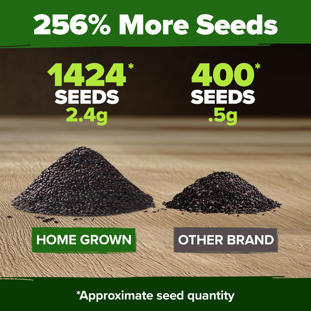 HOME GROWN non-GMO Italian basil seeds ready to germinate in garden or pot