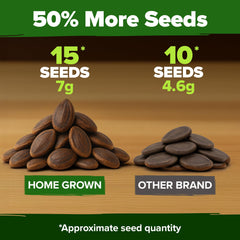 HOME GROWN ECOCERT organic certification label on seed packet.