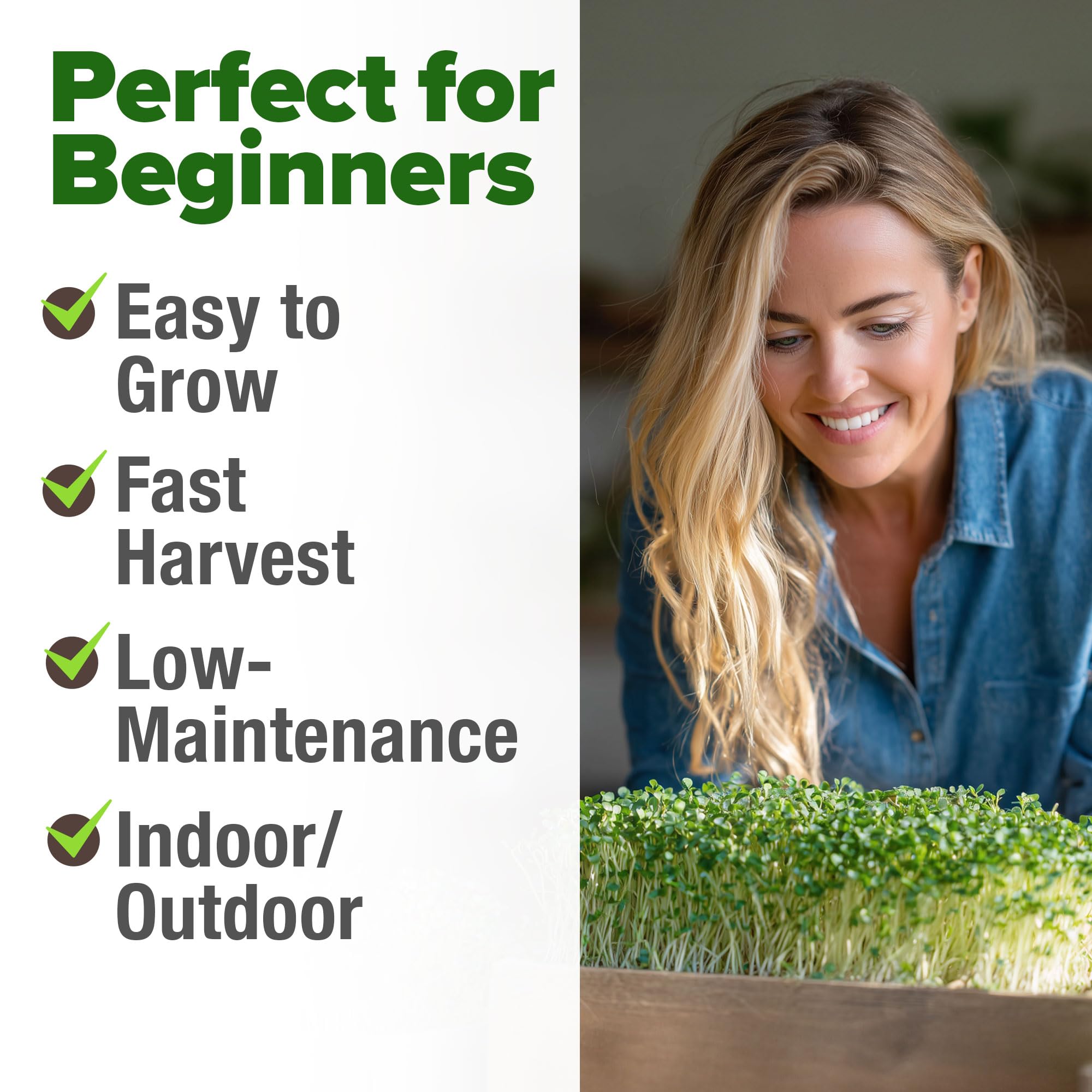 HOME GROWN organic sprouting seeds – non-GMO for pure growth in jars and trays