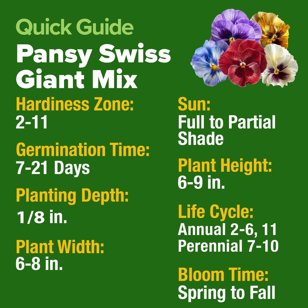 HOME GROWN pansy seeds ideal for beginner gardeners with easy care.