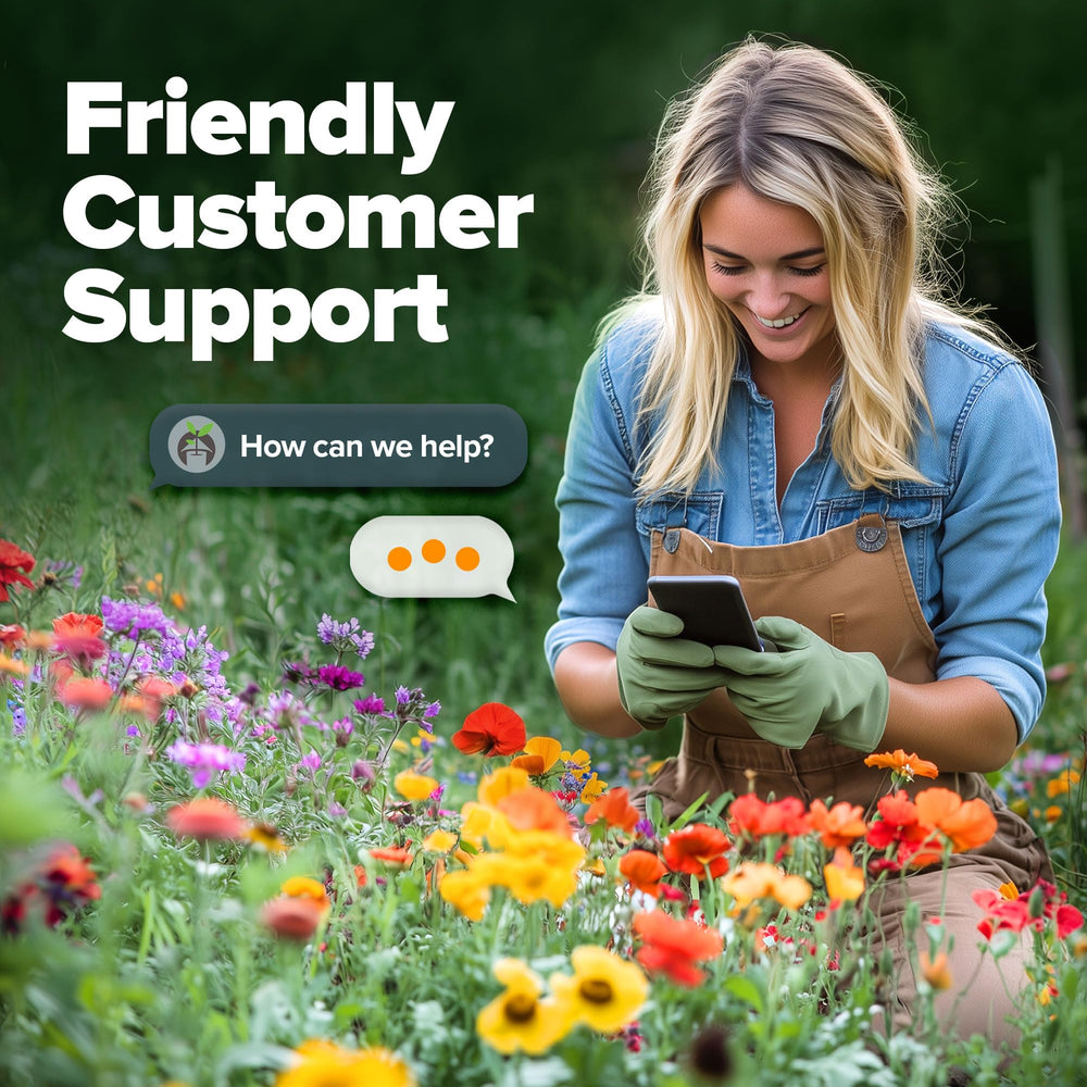 HOME GROWN wildflower seed-mix for perennial and annual garden displays.