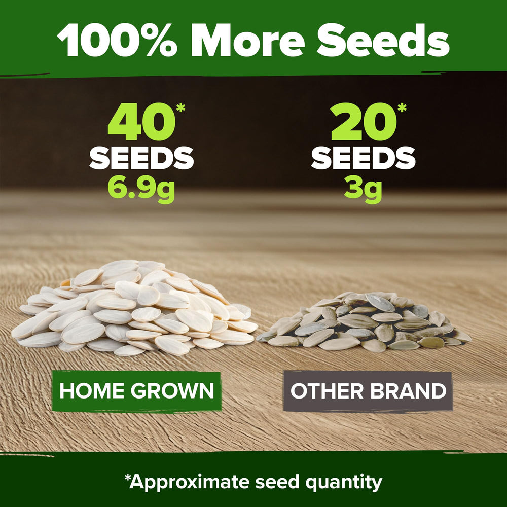 Jack Be Little seeds for mini jack-o'-lanterns and autumn displays