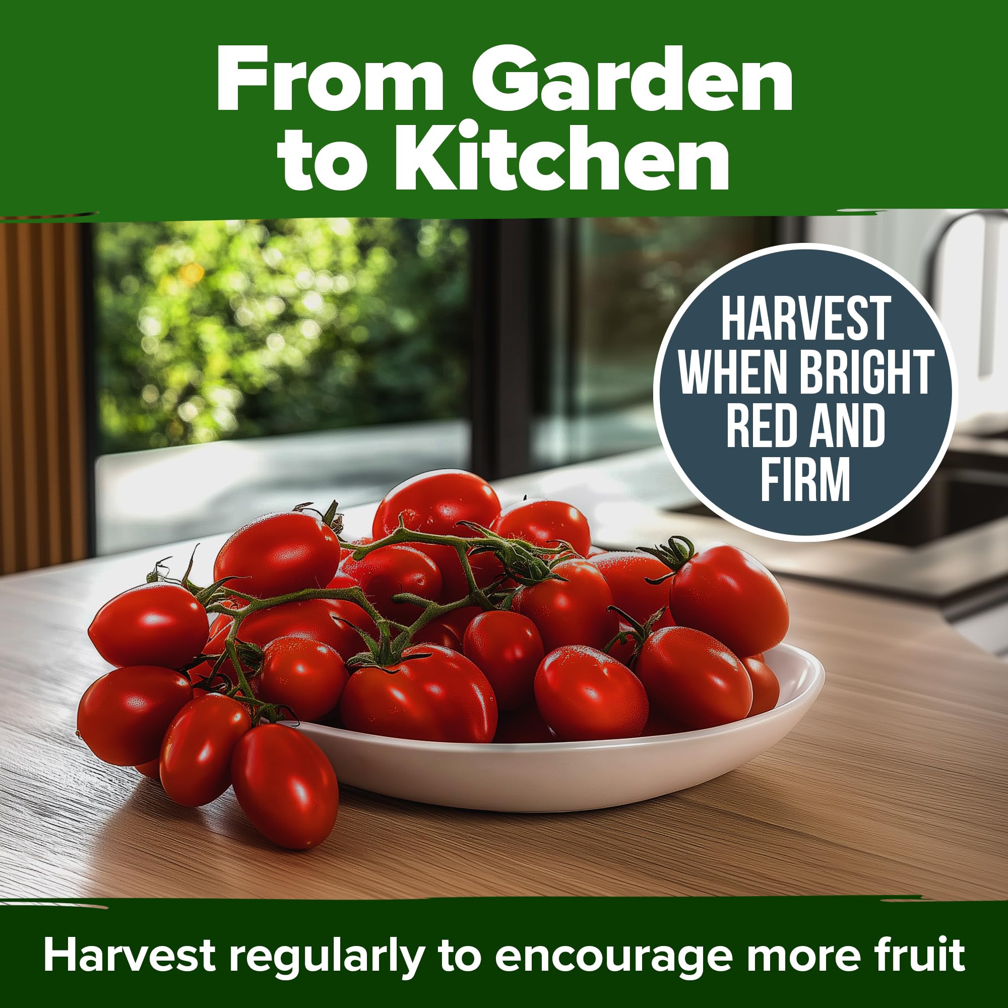 Clear planting guidance via QR code included with HOME GROWN San Marzano seeds.