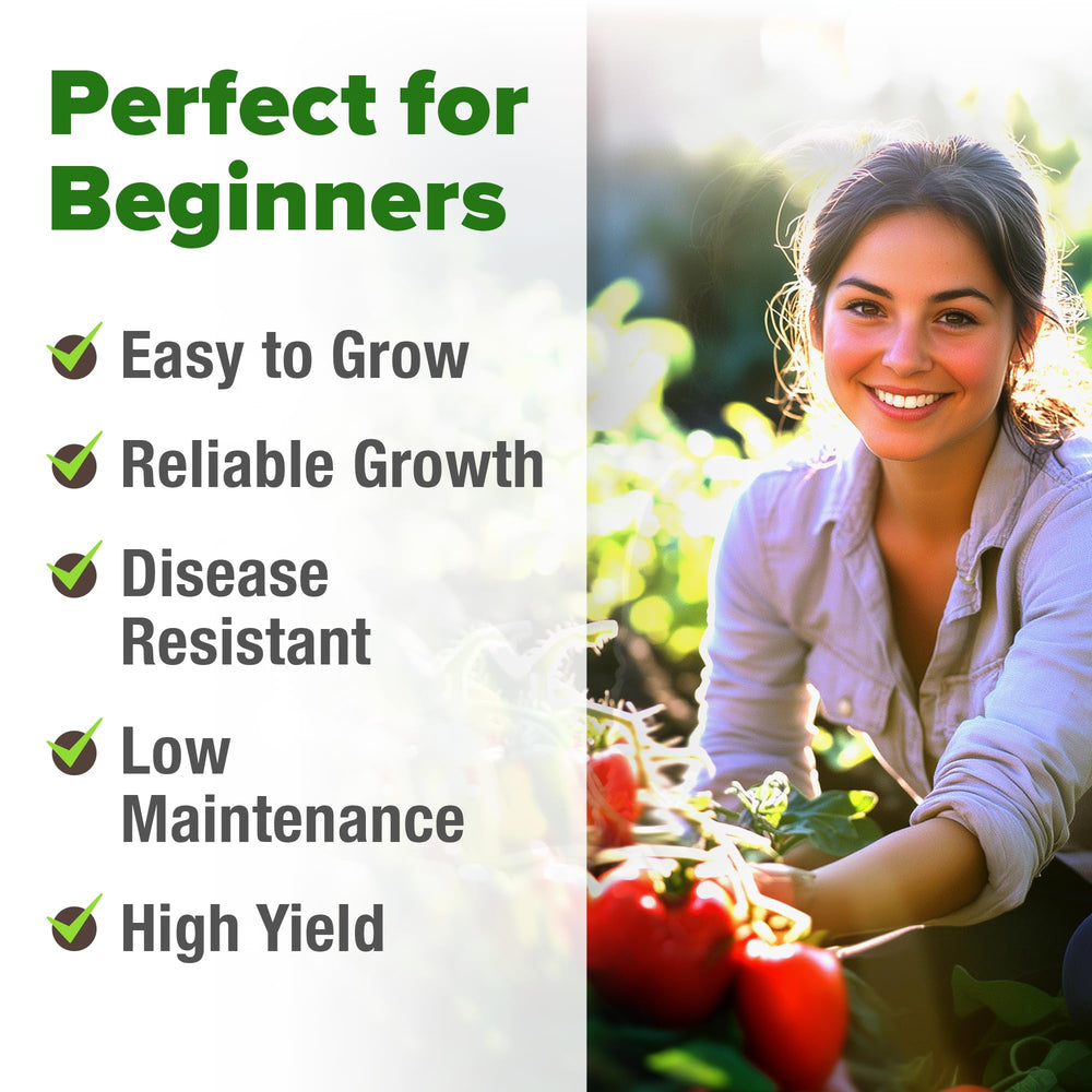 Seed packet supports indoor, outdoor, or hydroponic growing with HOME GROWN.