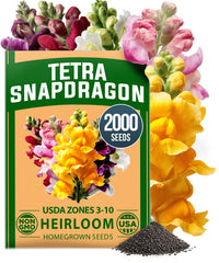 Home Grown Snapdragon Tetra seeds 0.3g pack, perfect for fresh border plantings and patio borders