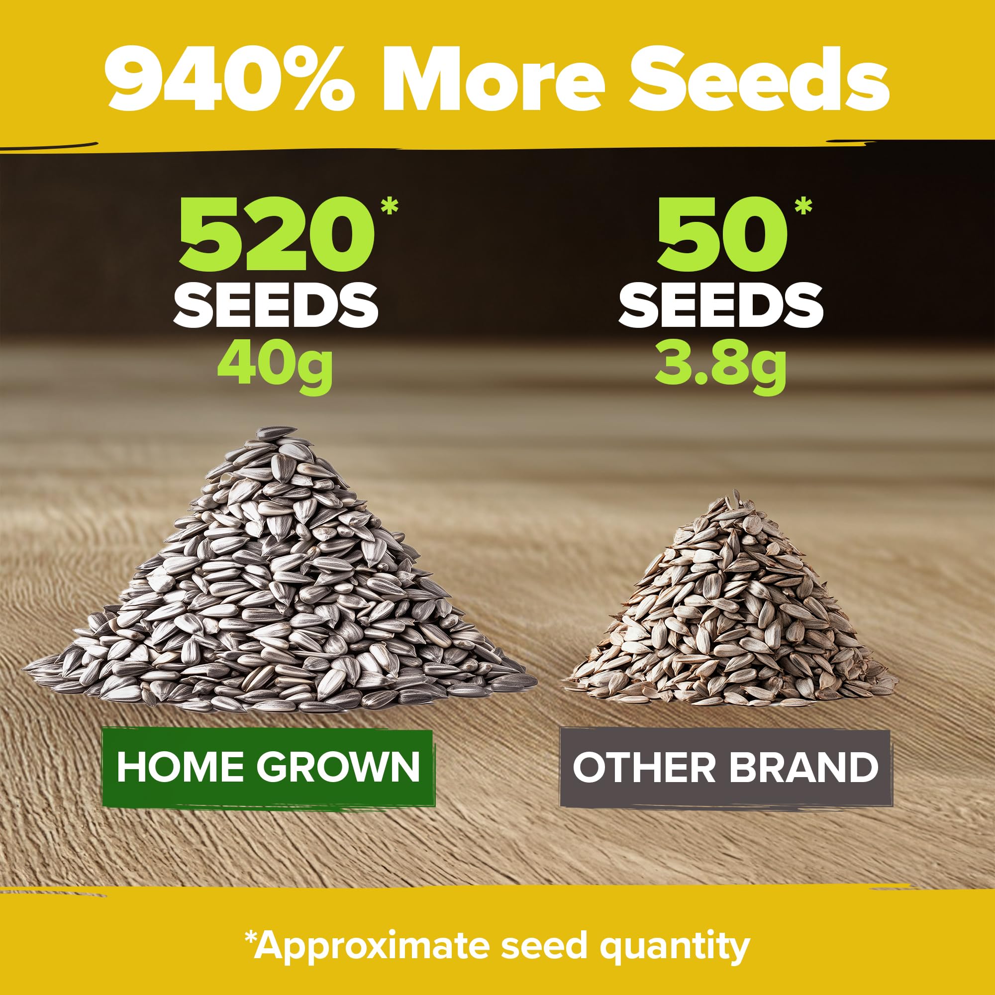 HOME GROWN sunflowers thrive in full sun, easy care, and versatile planting beds.