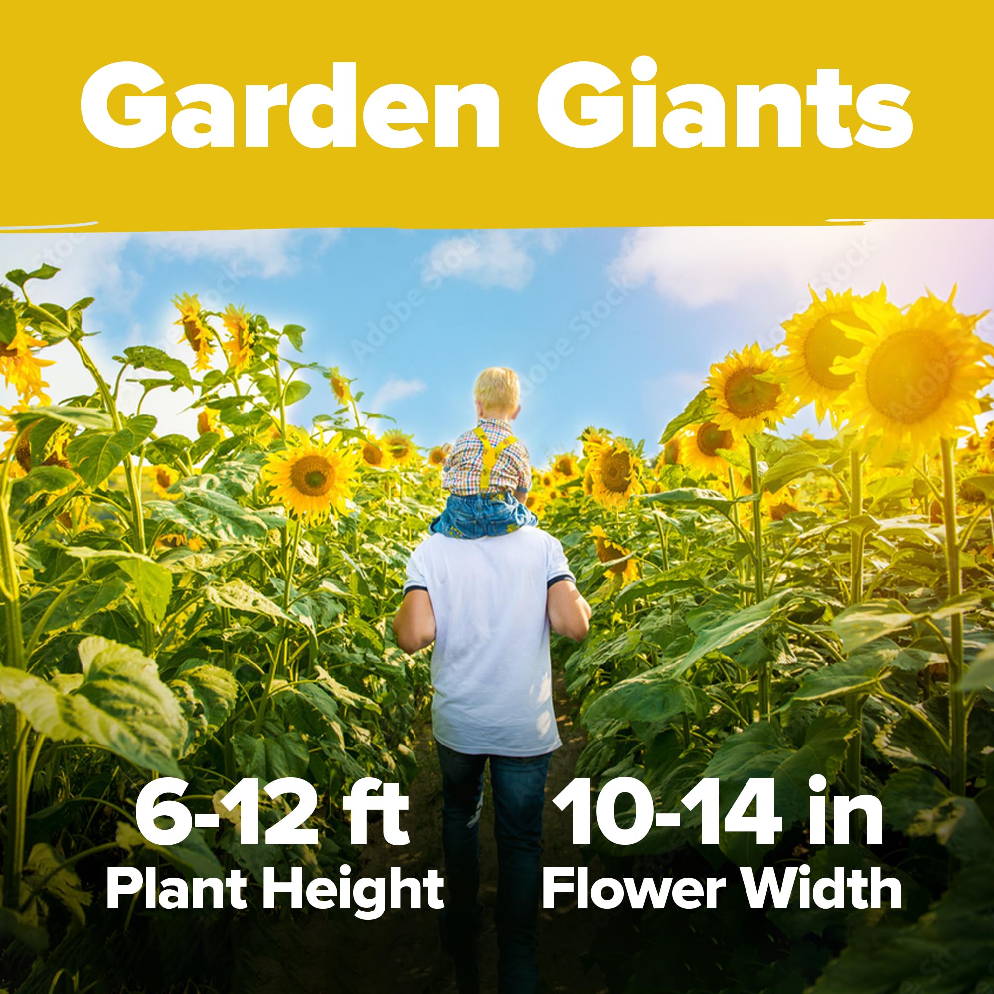 HOME GROWN seeds are USA-packaged and quality-tested for reliable germination.