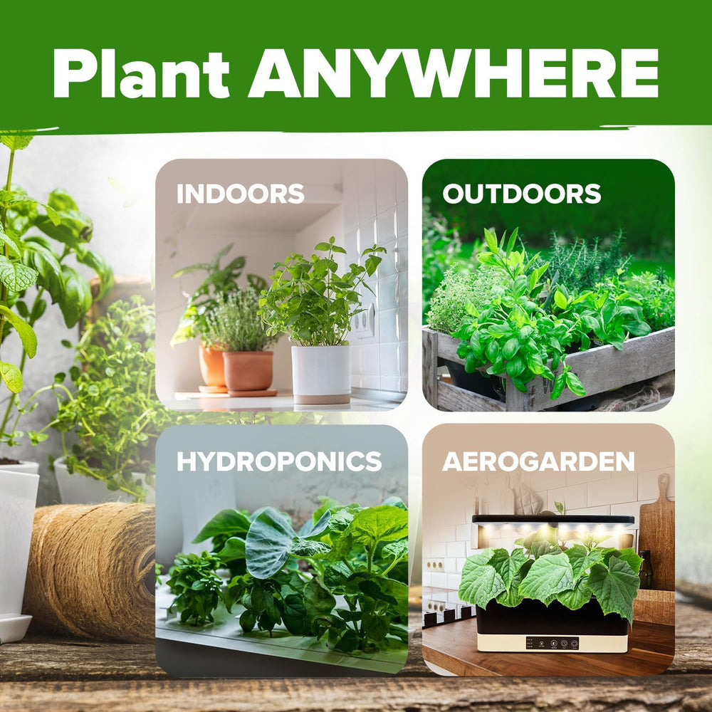HOME GROWN Tea garden idea with mint for home brews