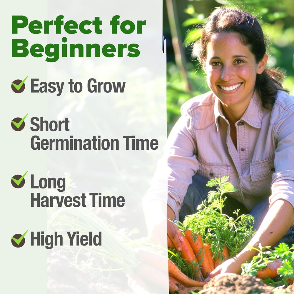 HOME GROWN Tendersweet Carrots Seeds outdoor planting in a garden bed setup for harvest-ready roots
