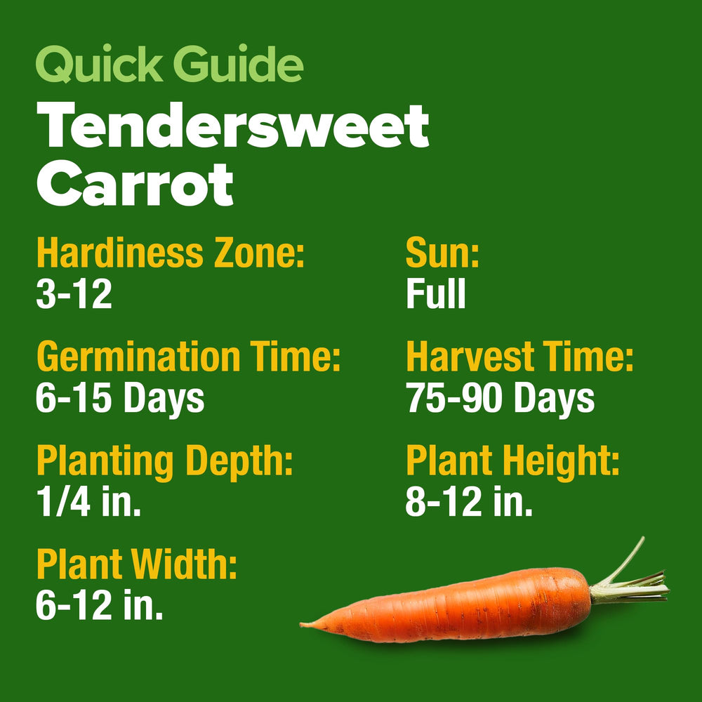 Step-by-step planting guide helps beginners grow flavorful roots.
