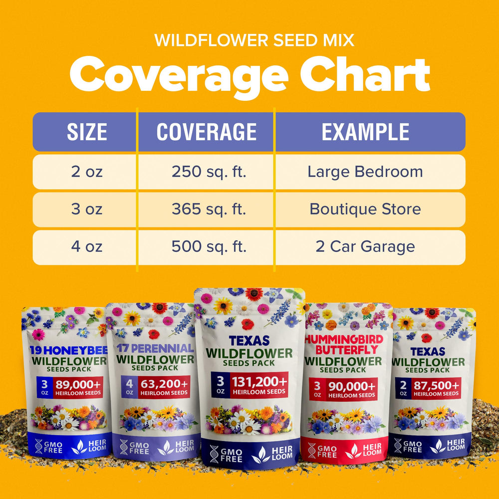 HOME GROWN includes Texas bluebonnet and favorites for iconic blooms.