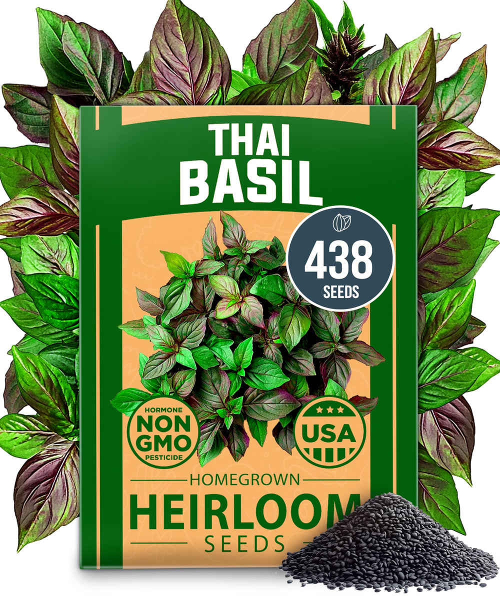 HOME GROWN Thai Basil seeds pack with high germination energy for thriving indoor or outdoor herb beds.