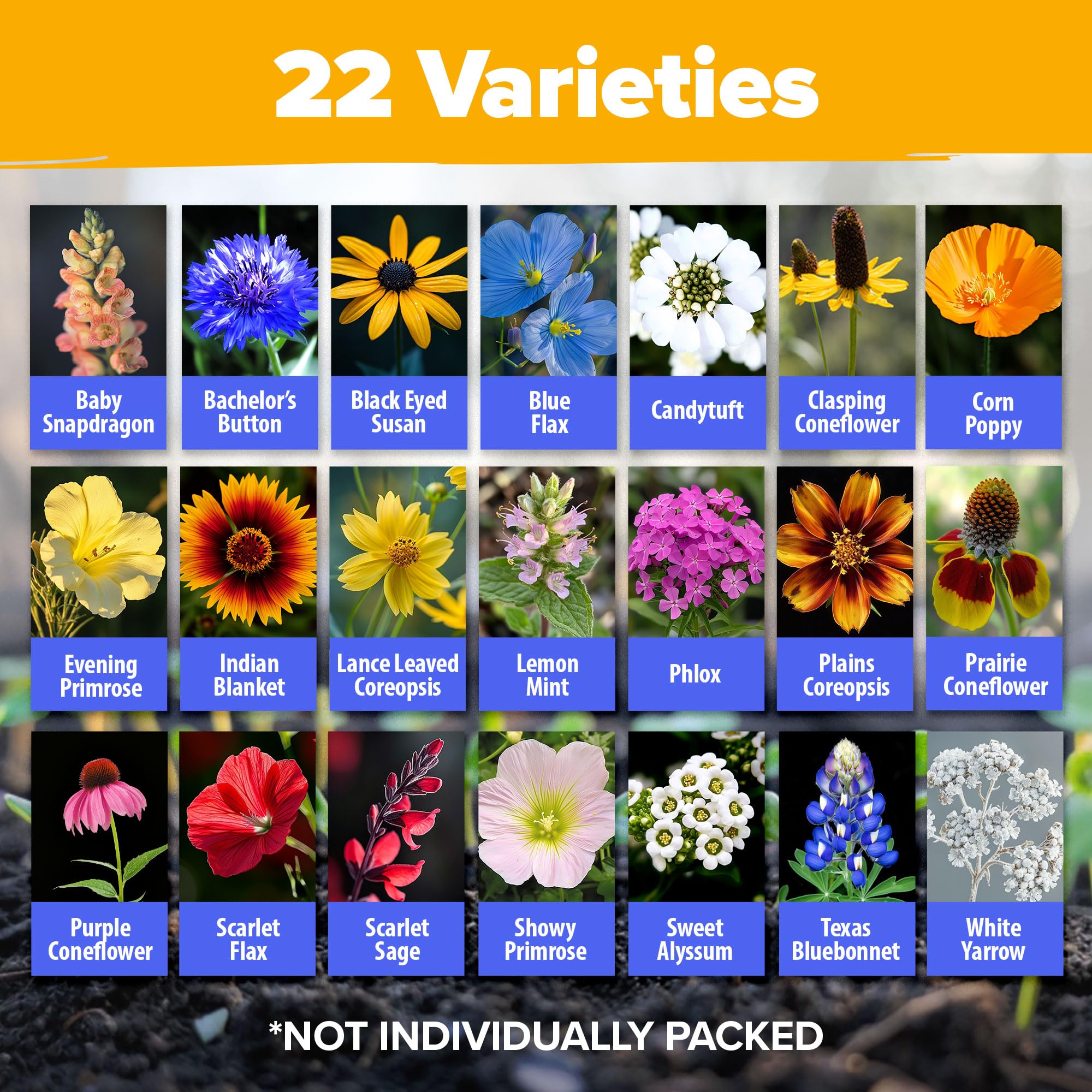 HOME GROWN twenty-two varieties mix displayed for diverse color year-round.