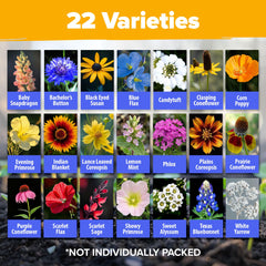 HOME GROWN twenty-two varieties mix displayed for diverse color year-round.