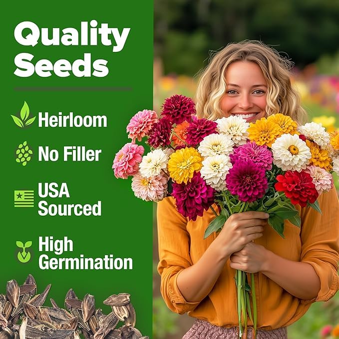 HOME GROWN USA Zinnia Dahlia seeds pack bag scene highlighting 1048 premium seeds for large planting