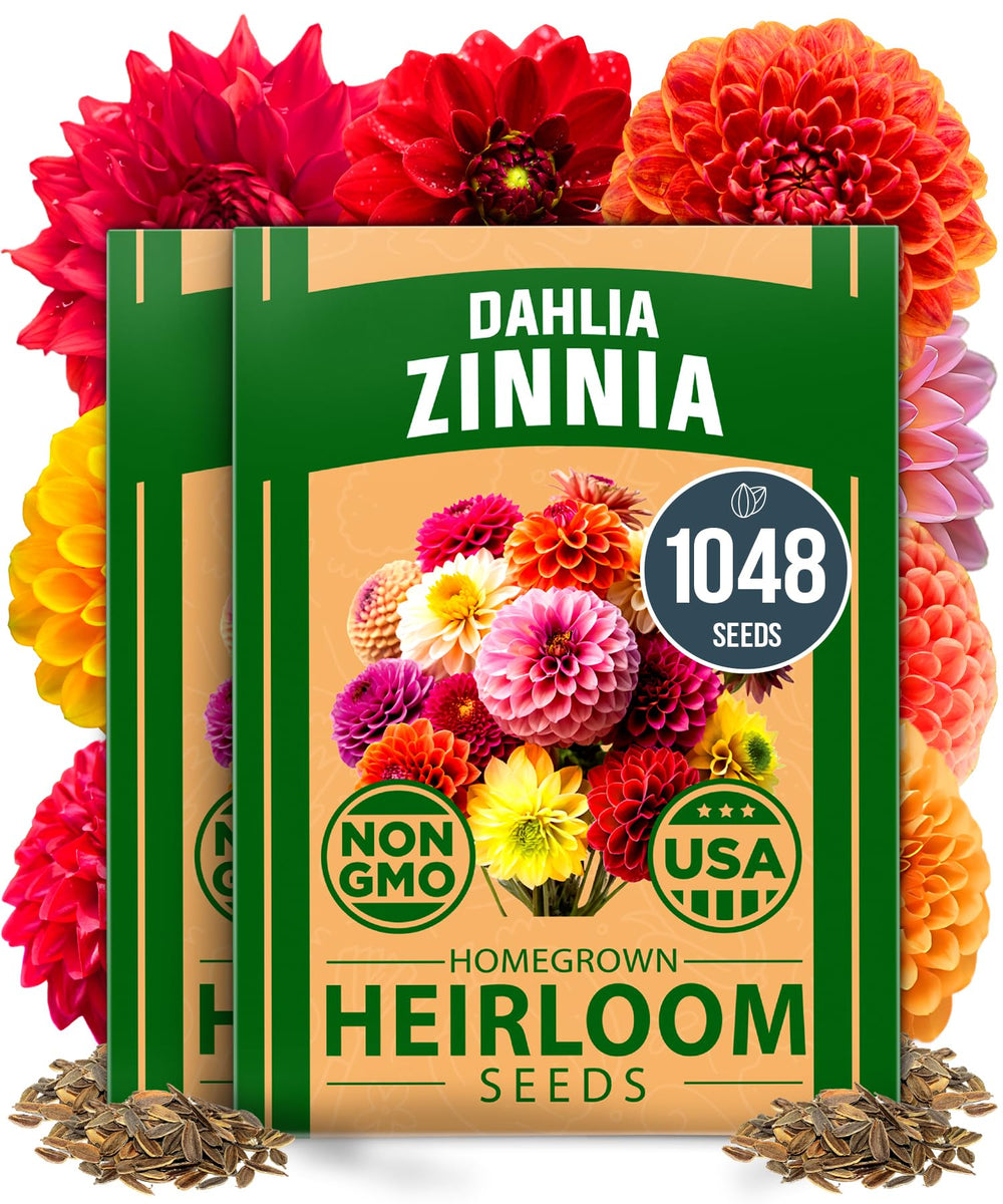 HOME GROWN USA Zinnia Dahlia seeds pack front view for vibrant summer color